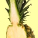 pineapplehalf-000021